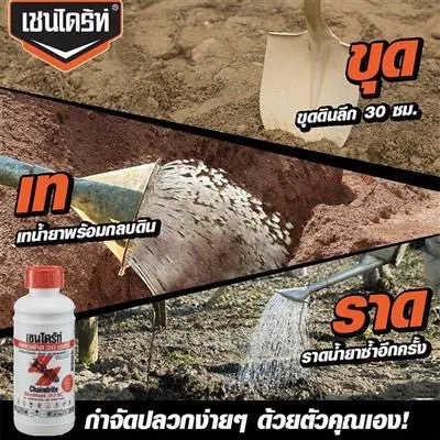 1-1 (5) ใหญ่